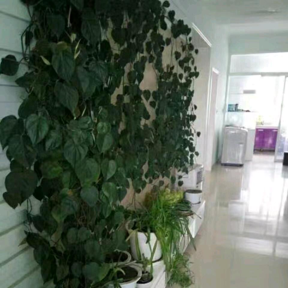 库尔勒烟酒超市