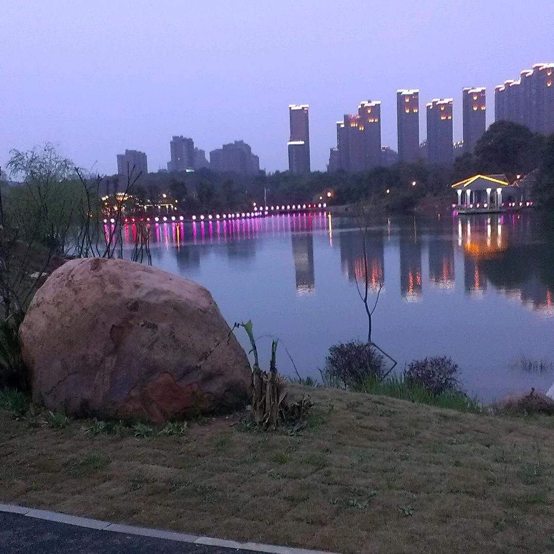军哥✨