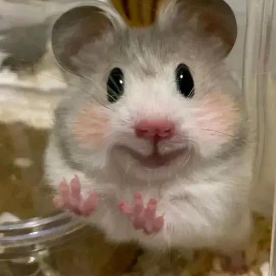 骚得不要不要得