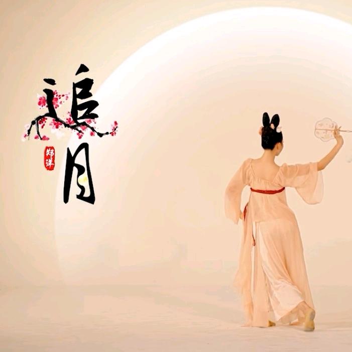 追月