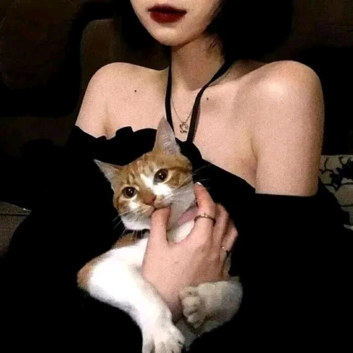 人间宝藏顶配挖掘机