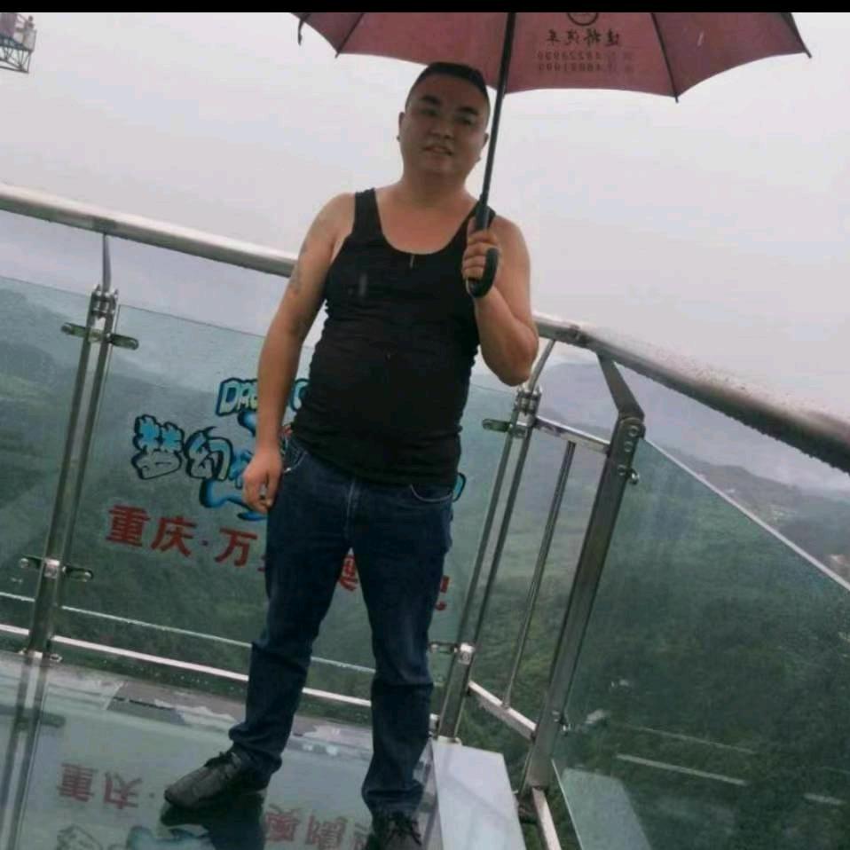 龙