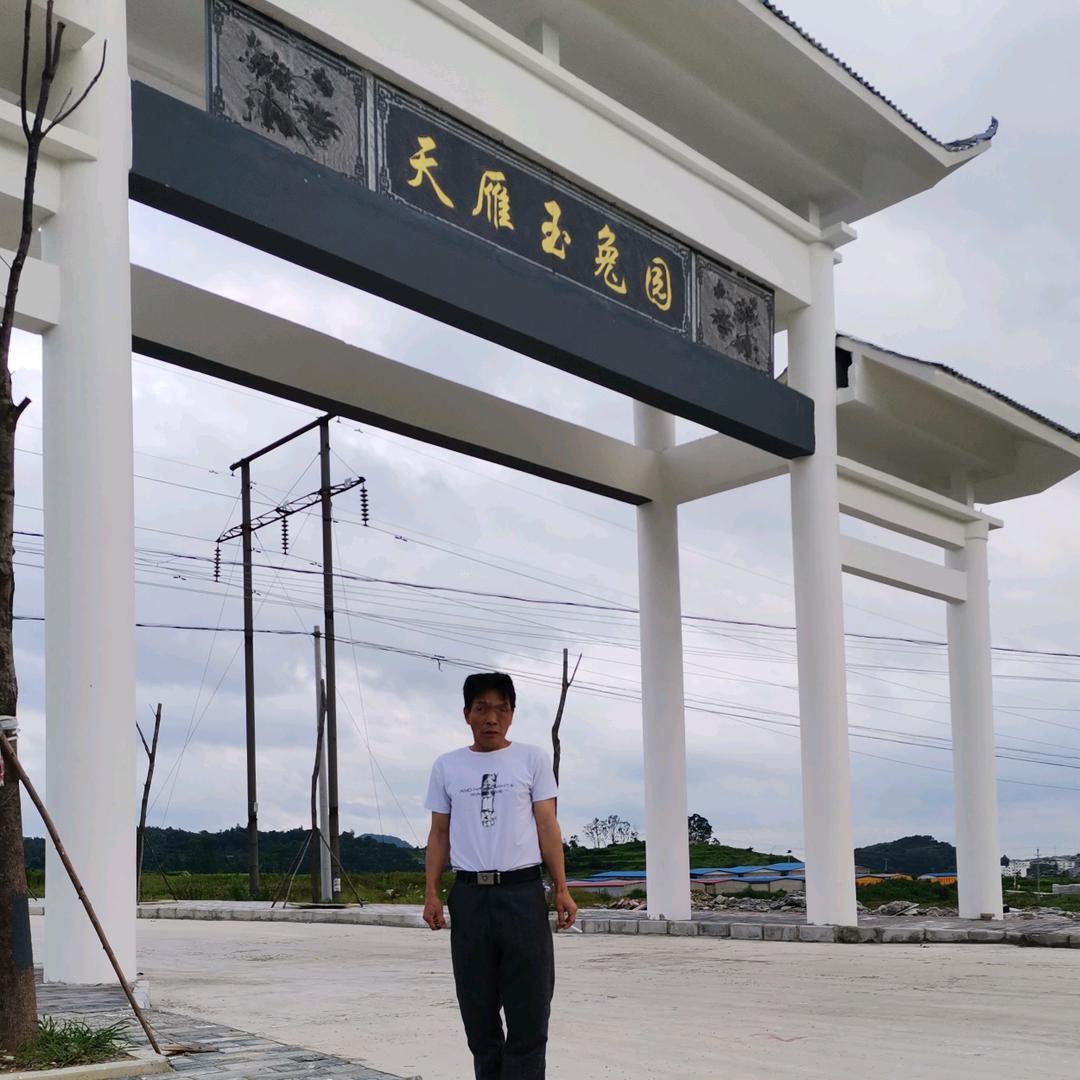 小|杨