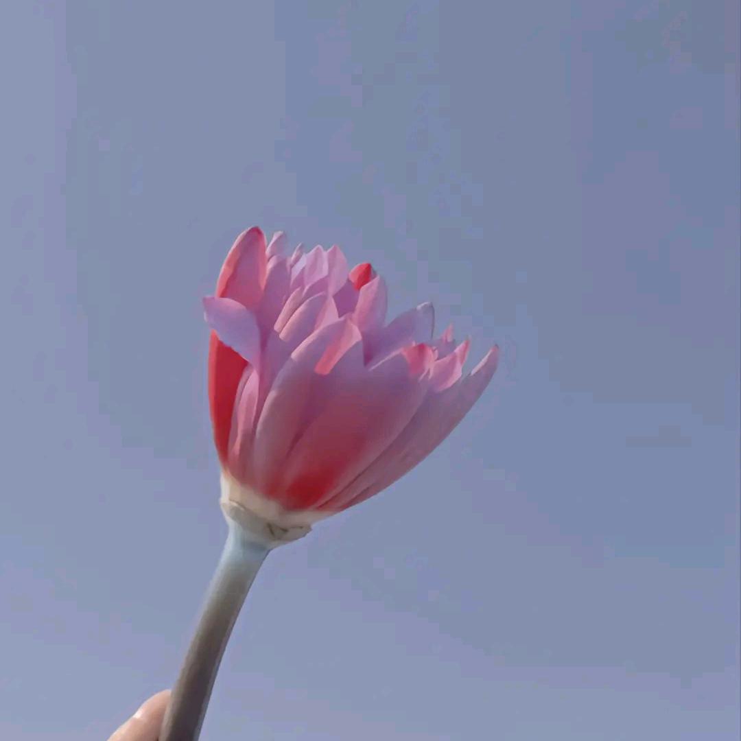 清秋文案 ℒℴѵℯ