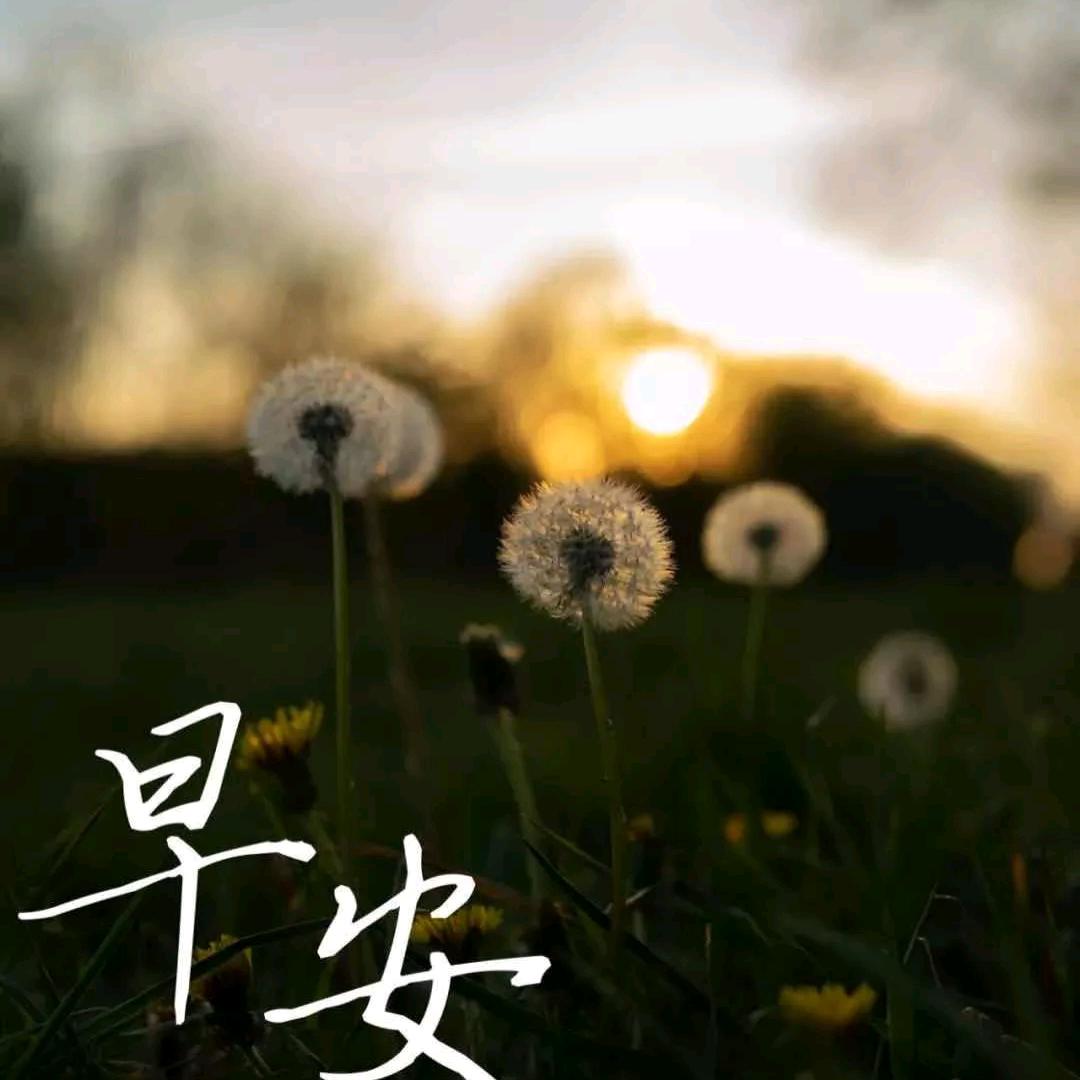 问世间情为何物