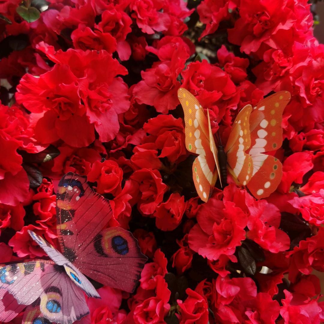 用户4916112211445江宁人