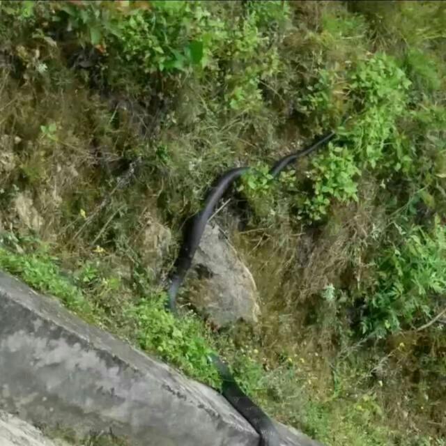 值得拥有