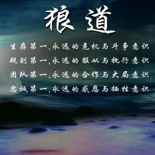 海《桀骜》狼头像