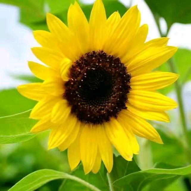 ꧔：熟悉的陌生人💁🖐