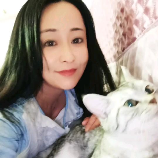 静莲秋月