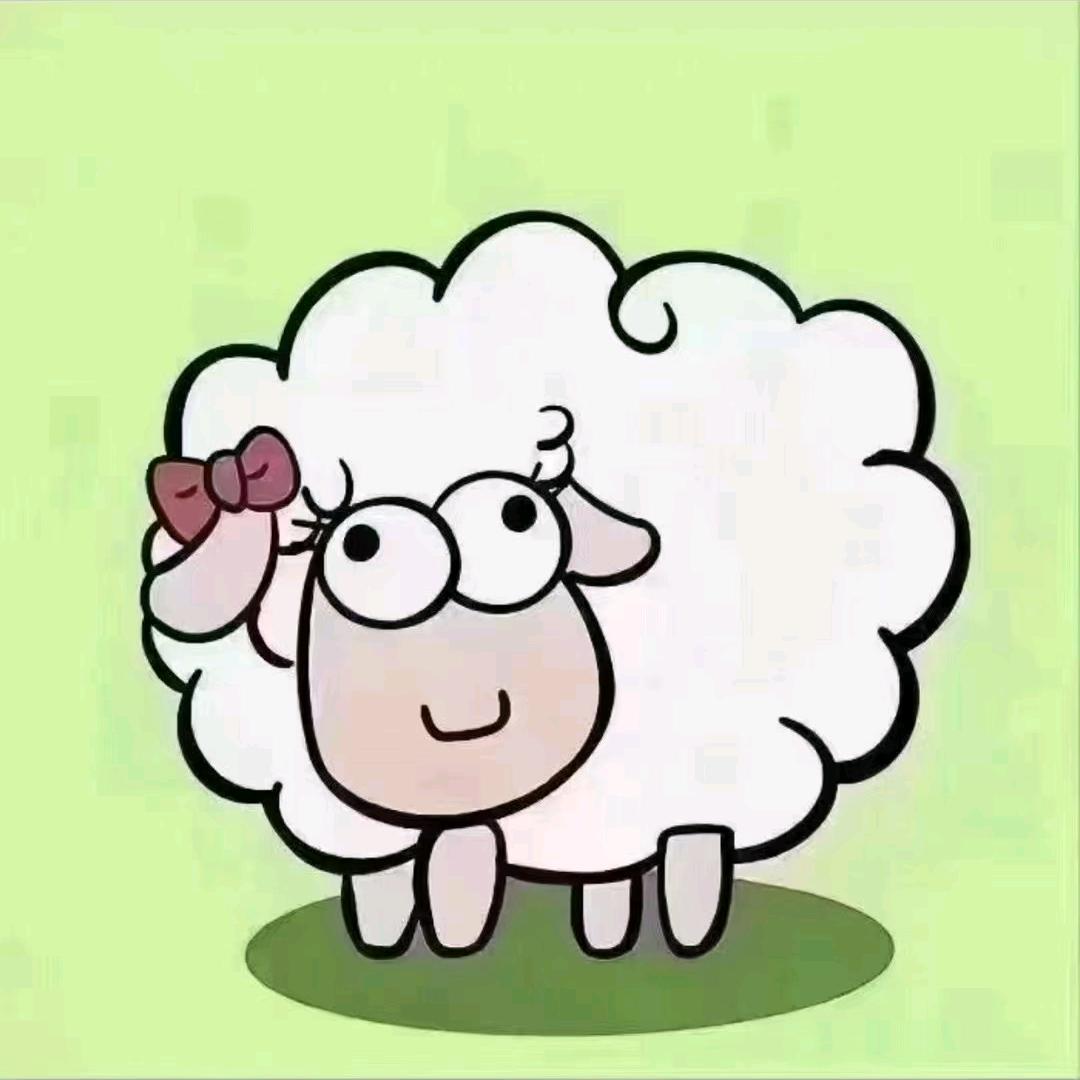 绵羊羊