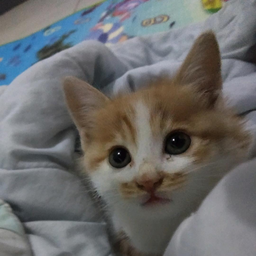 本地生活好物分享