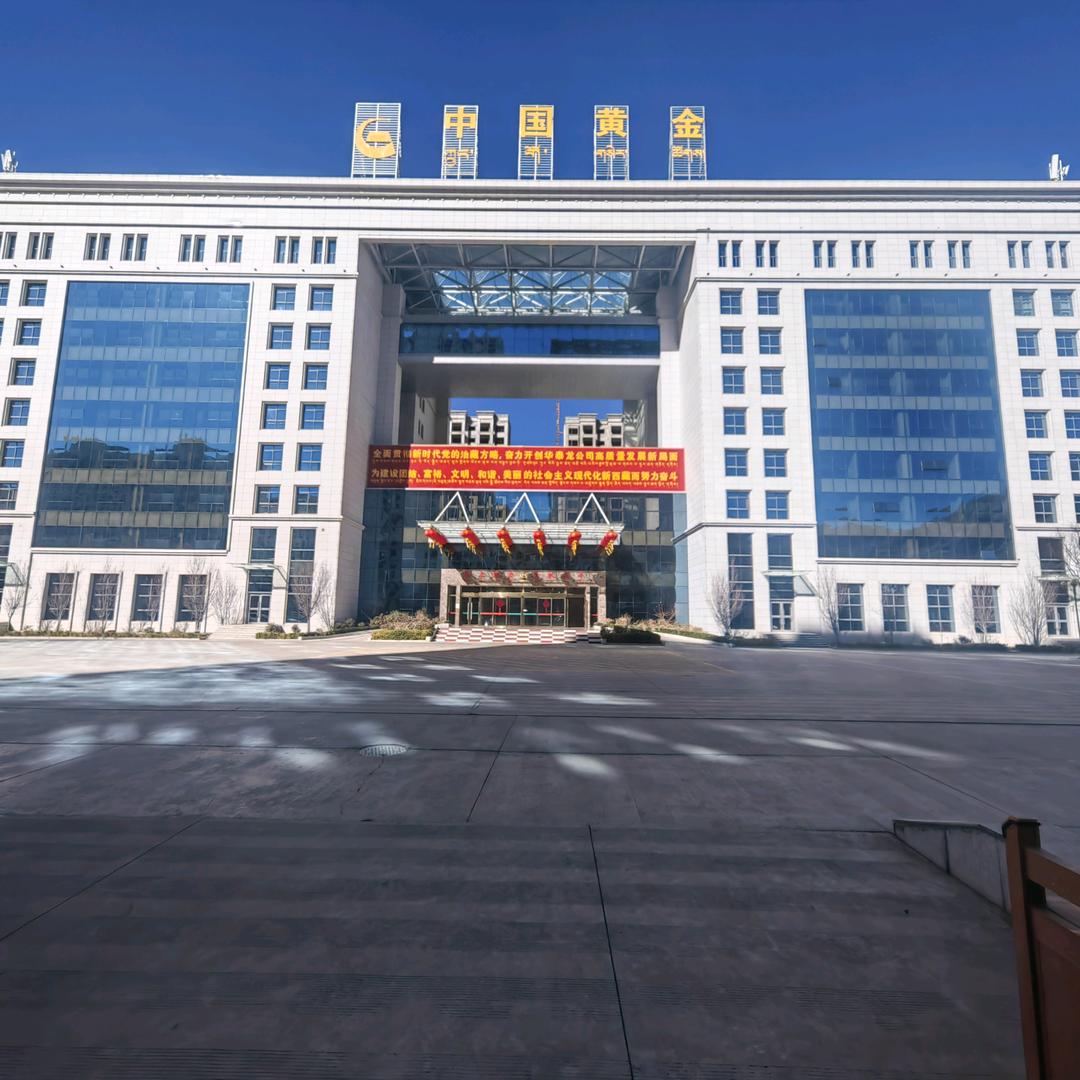 西藏华泰龙公司