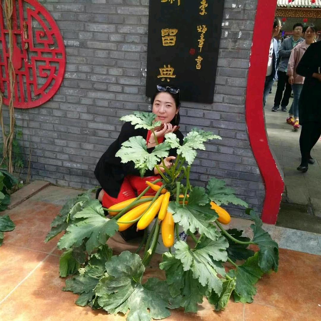 白儿瓢