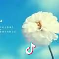 那一抹嫣然依旧头像