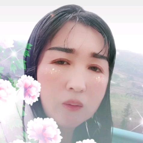 满船星梦压星河