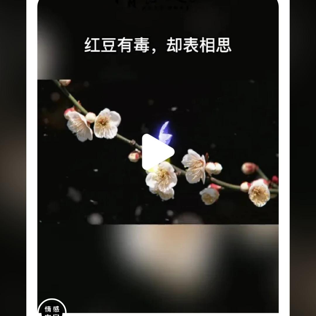 无心的相遇