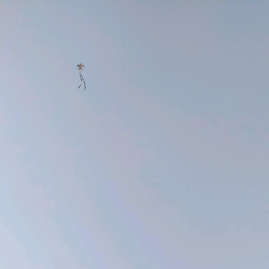 人生如梦，岁月如歌