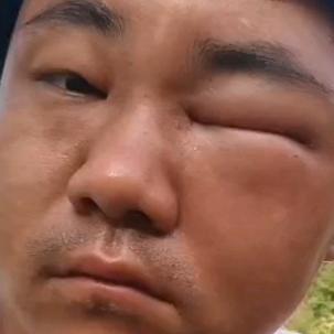 湖南蜂哥