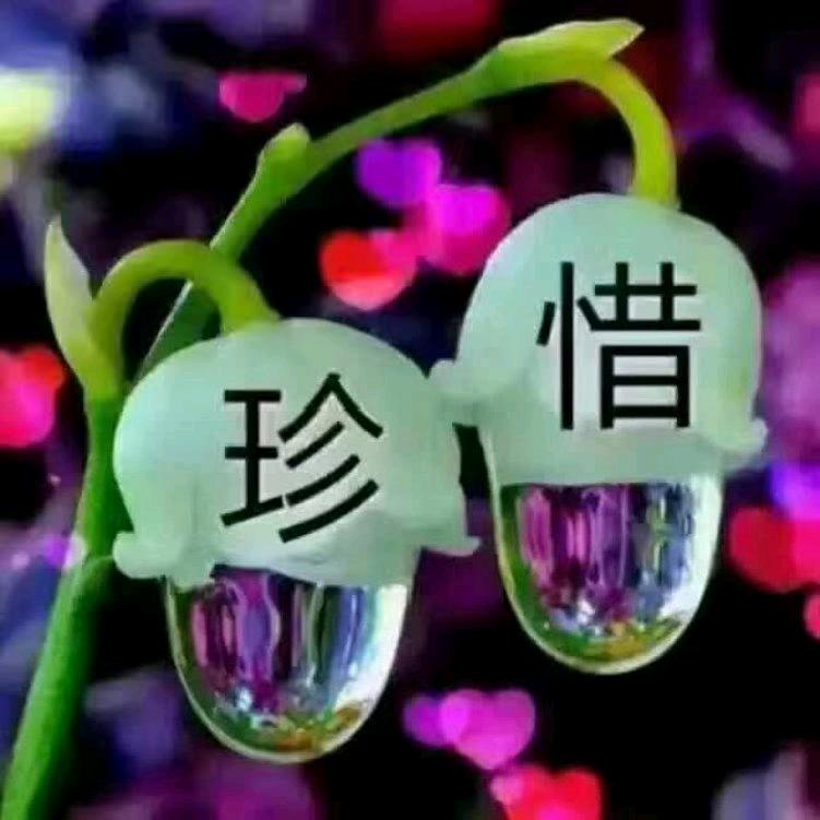 🎶珍惜🎶
