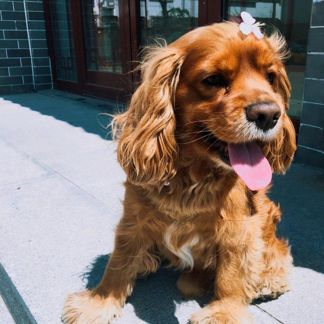 大班幼稚员🐒🐘🦒🦓🐆🦍🐈