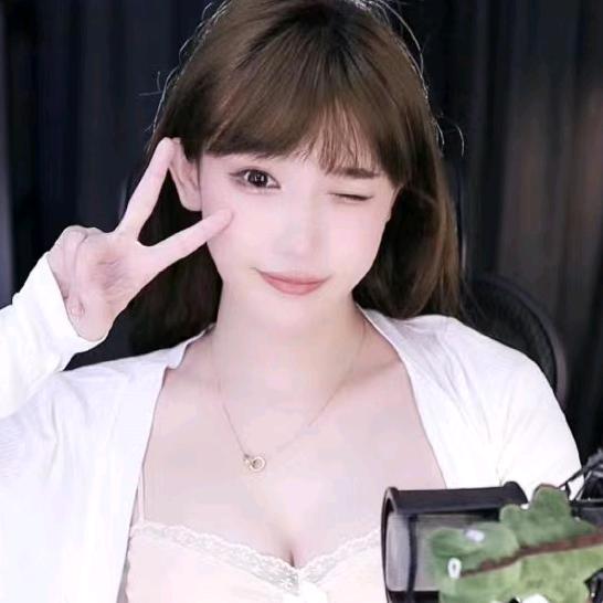 一只海豚豚