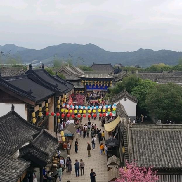阿 理