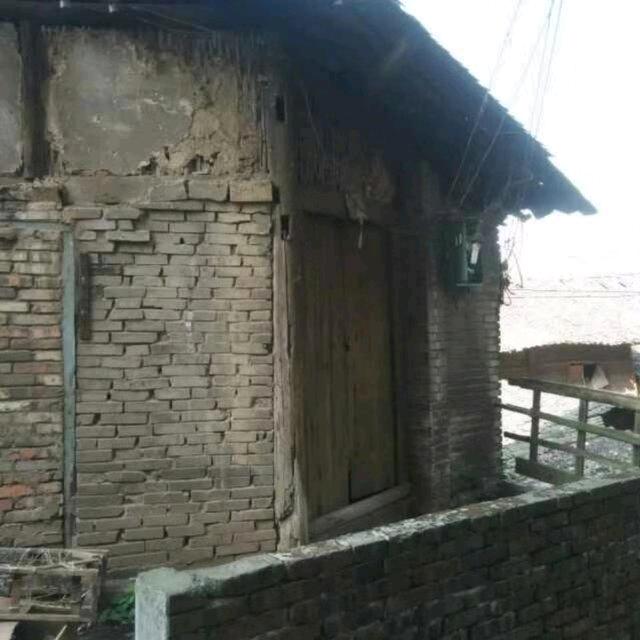 〈驰哥〉