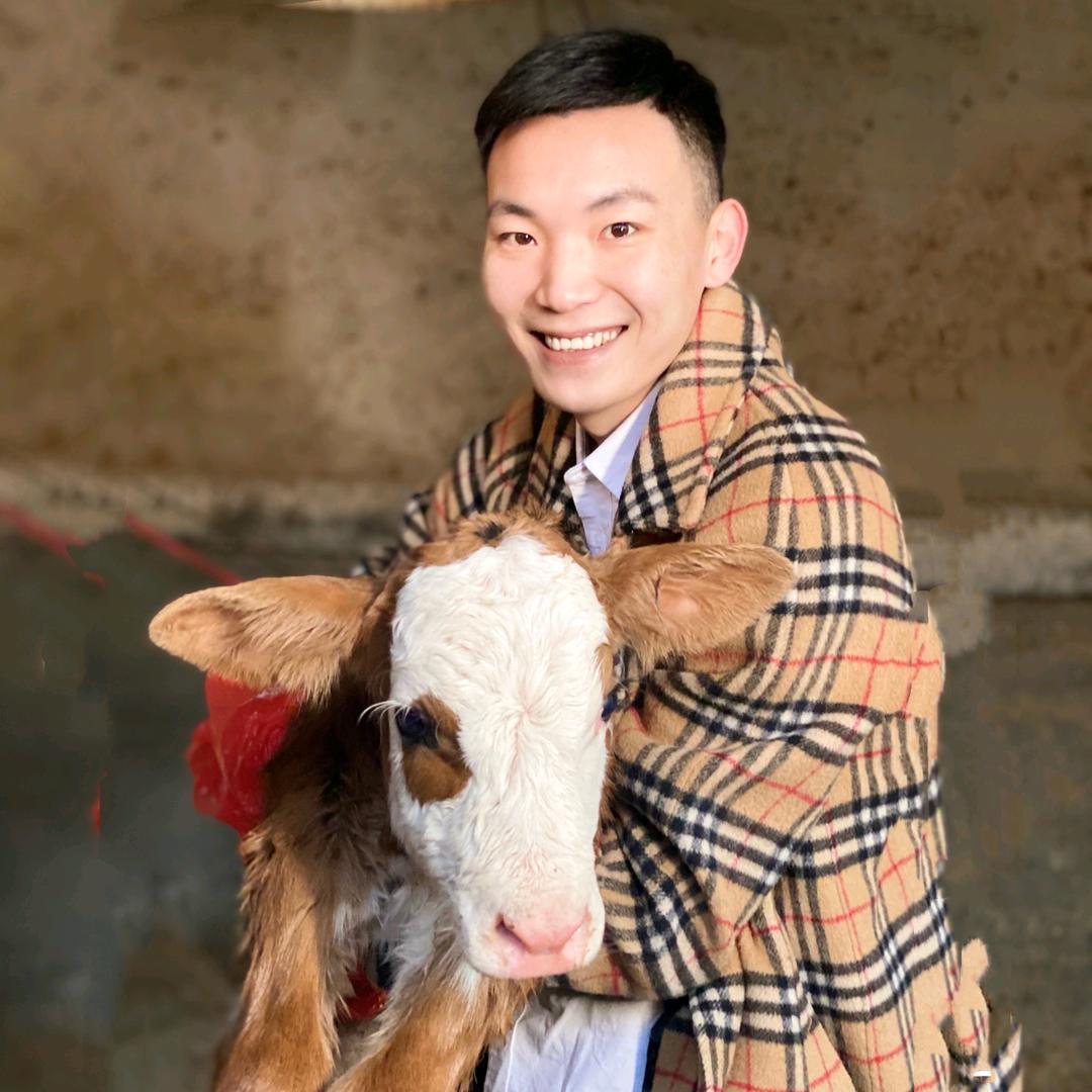 懂牛小涛