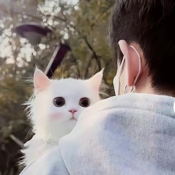 幸福来敲门ฅ՞•ﻌ•՞ฅ