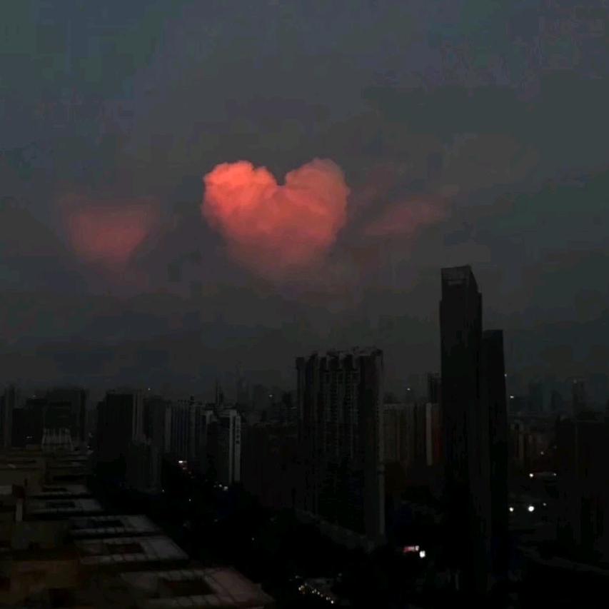 宇亦知风来