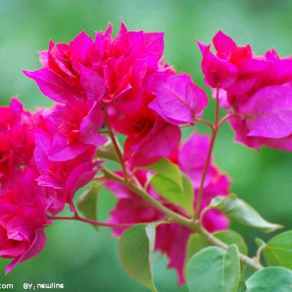 我嗯世界你不懂