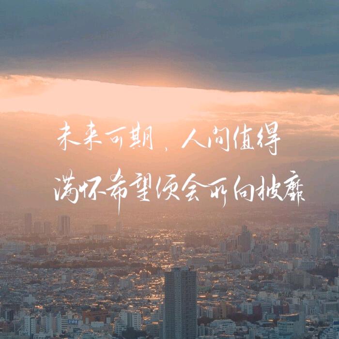 日聚佳品电子商务店