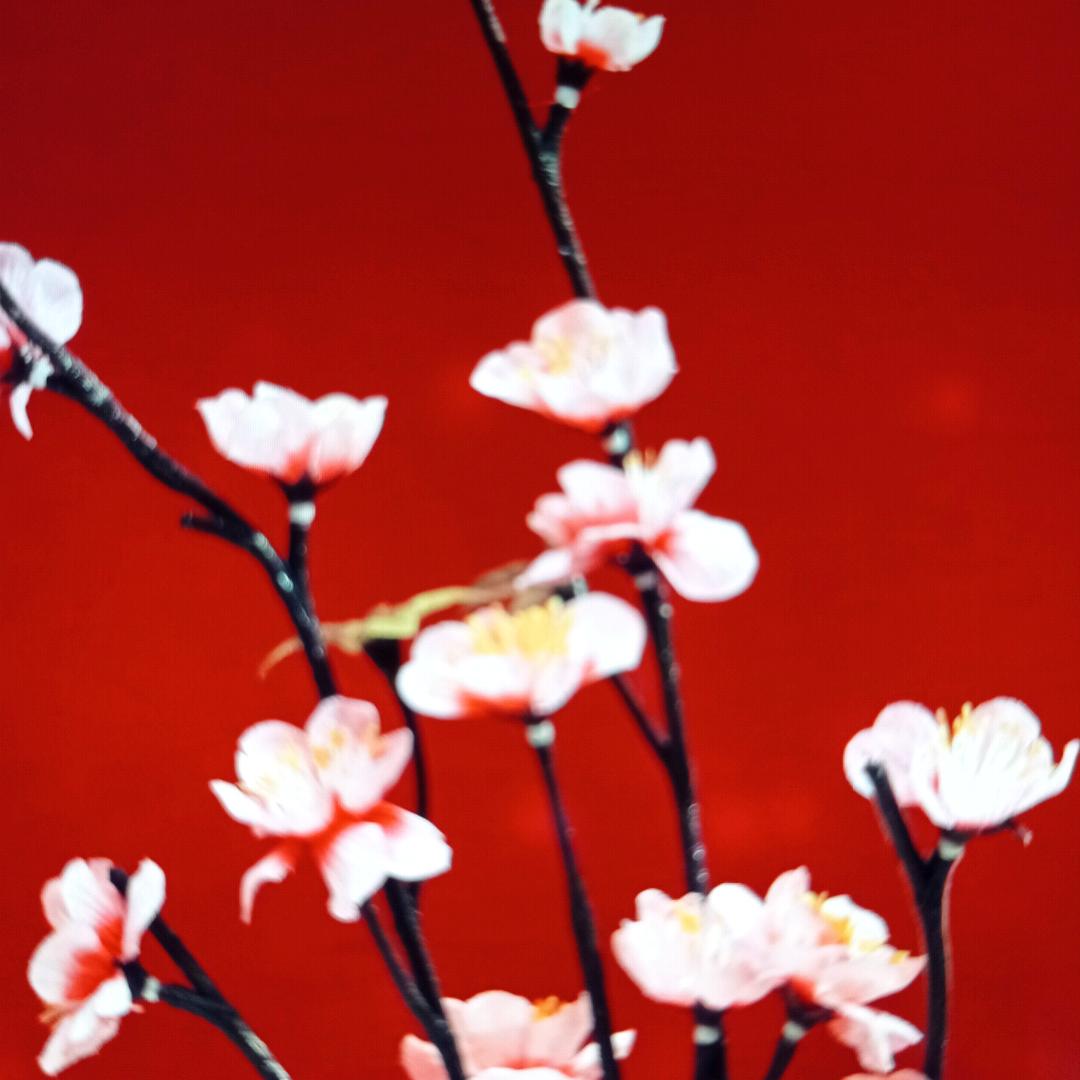 娟子🍎🍎