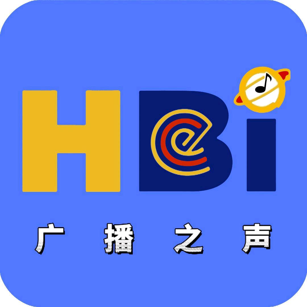 鹤壁之声
