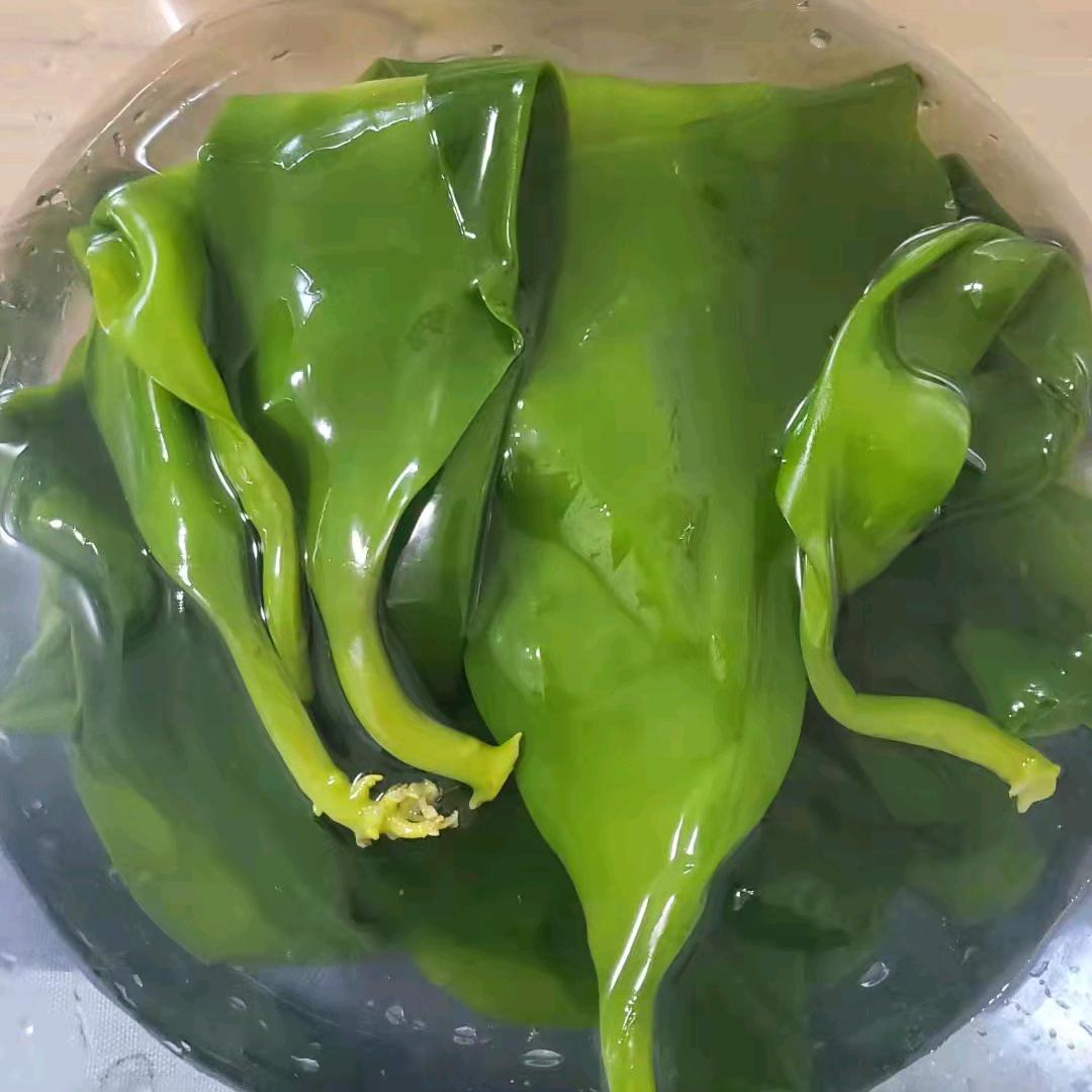 藻安