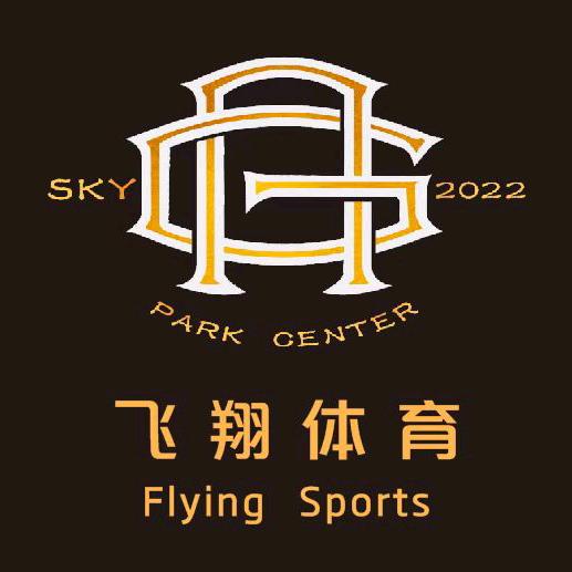 飞翔体育