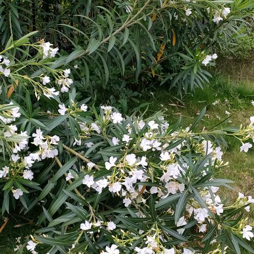 我在武汉工业园区等你