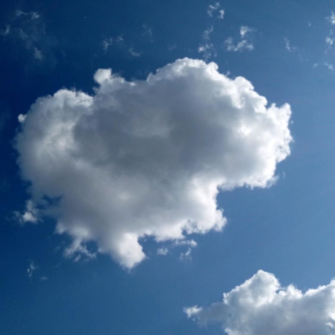 忠义两全仁义道德