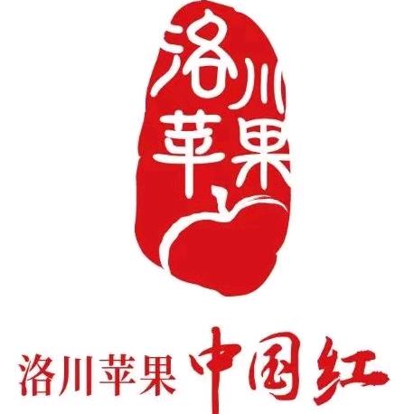 涛哥说苹果