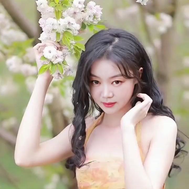 🌹🌹洋贵妃🌹🌹