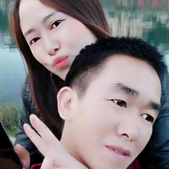 专业罗汉松，黑松造型师