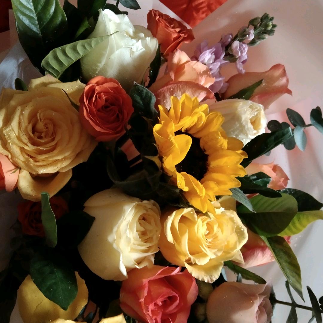 独行侠（一个人的江湖）