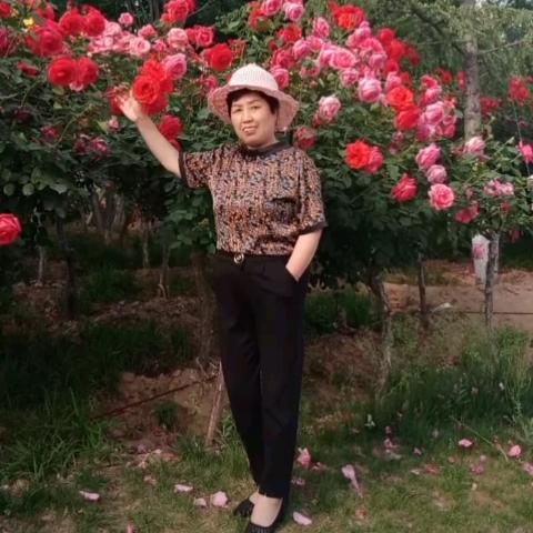 花好月圆