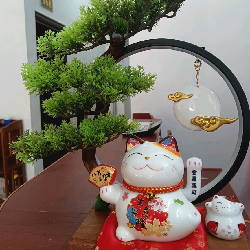 🌹爱拼才会赢❤