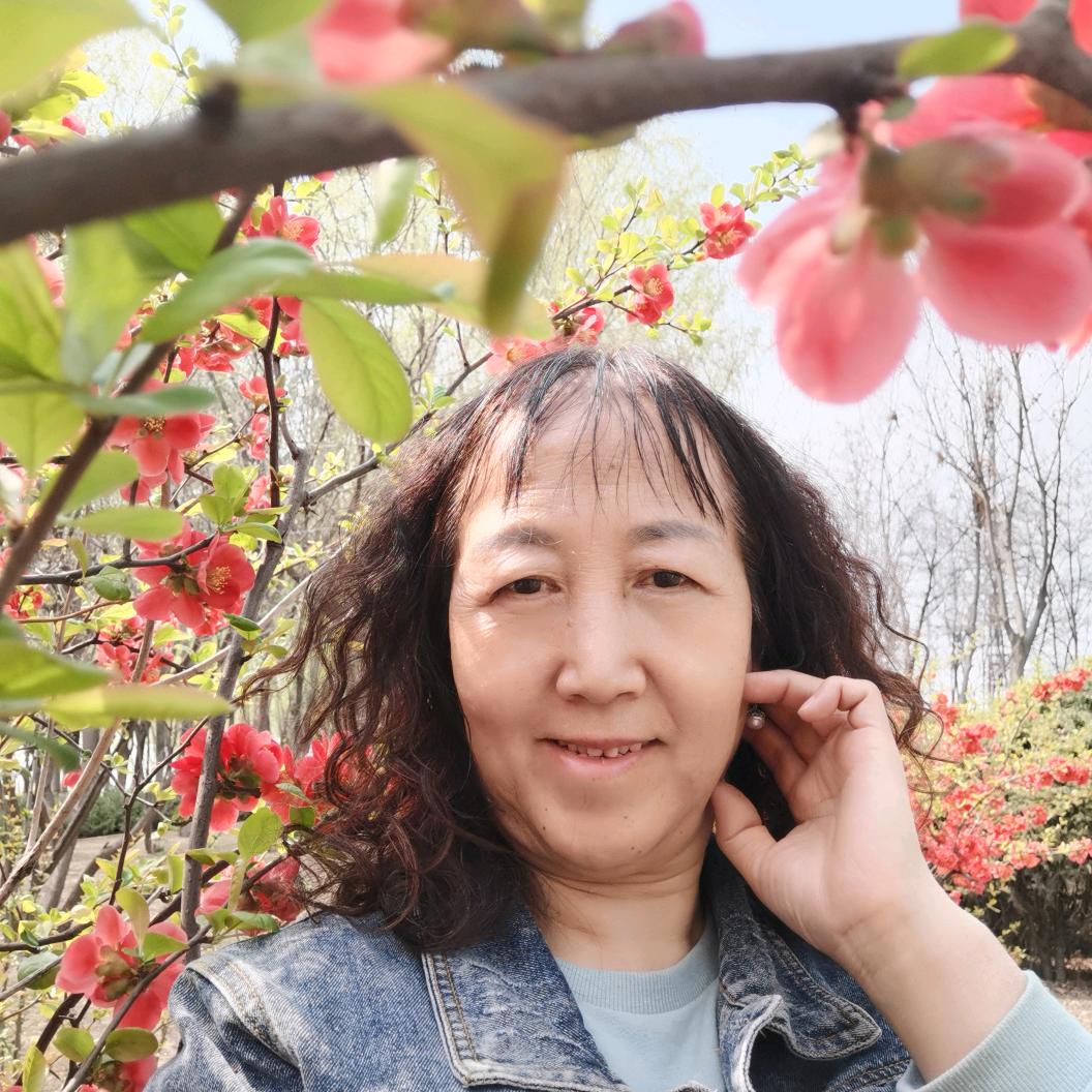 雪莲花