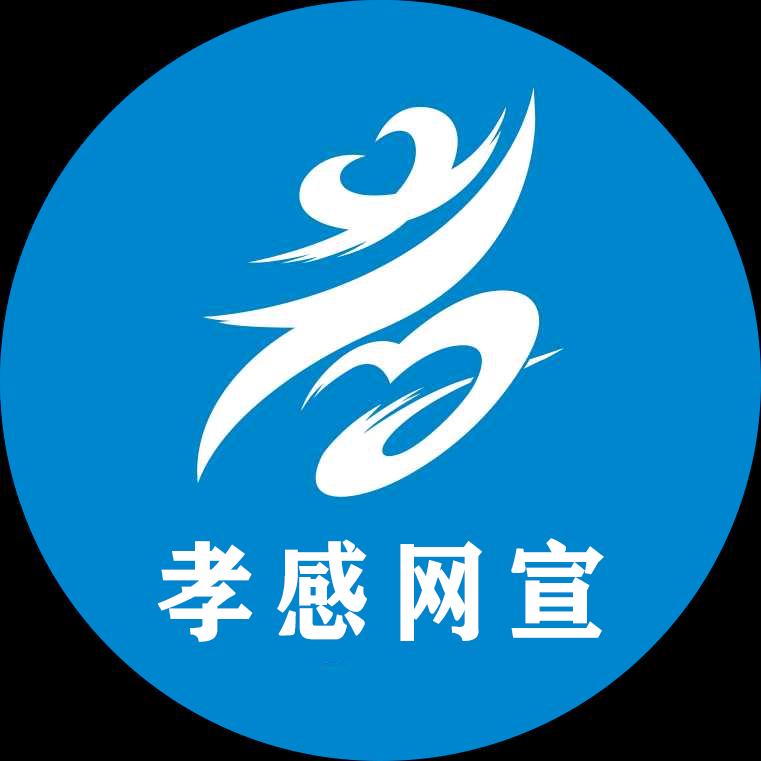 孝感网宣