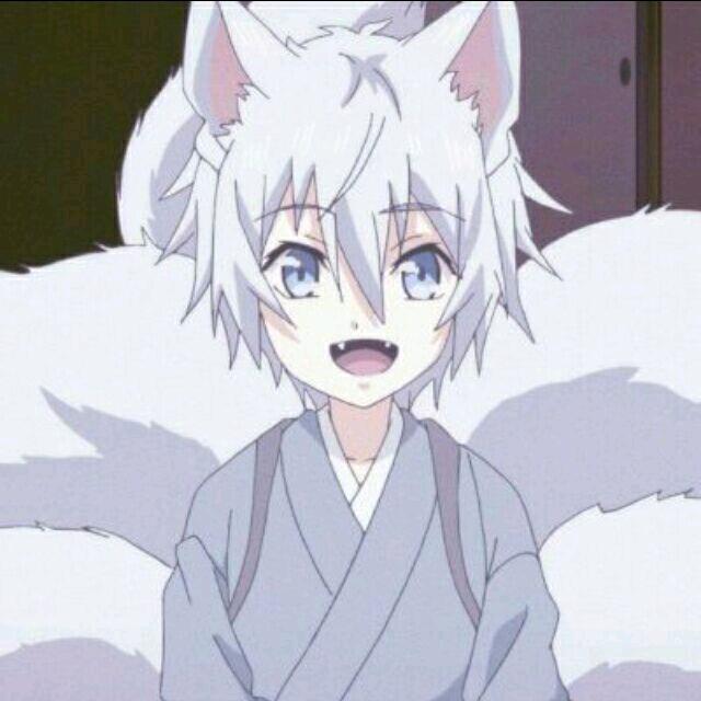 小丑鱼