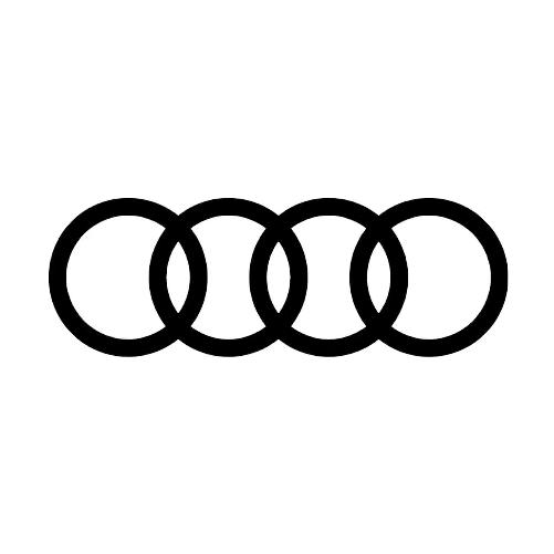 一汽奥迪黄石恒信奥龙