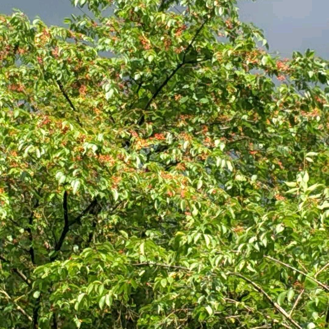 🕊️家的港湾🕊️